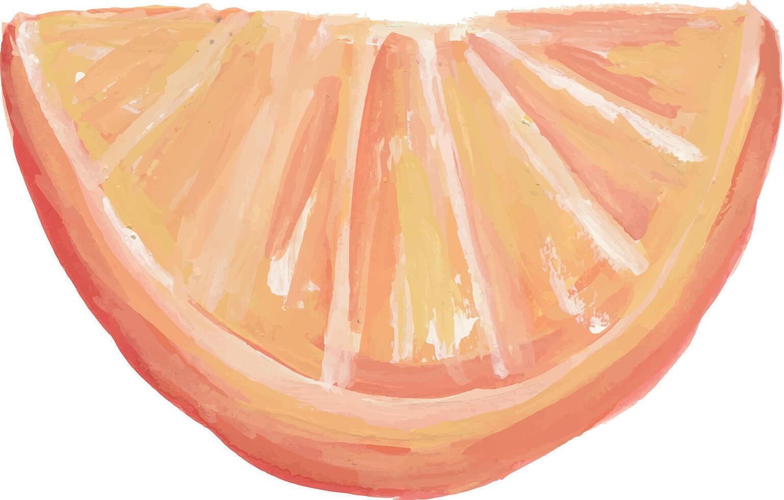 an orange slice is shown in this painting vector