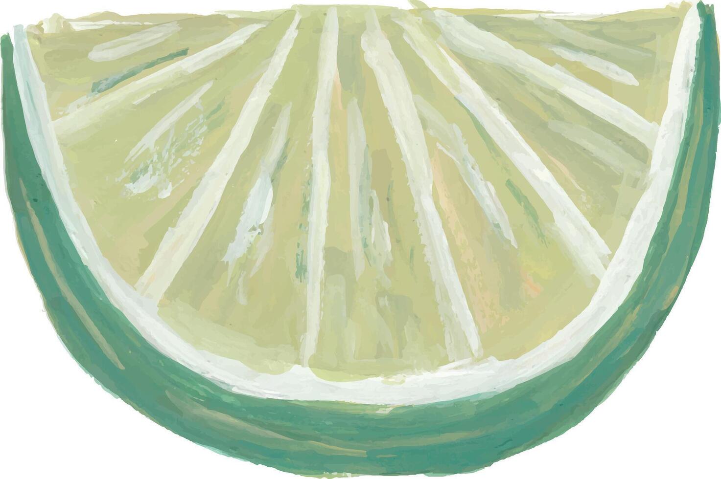 a painting of a slice of lime vector