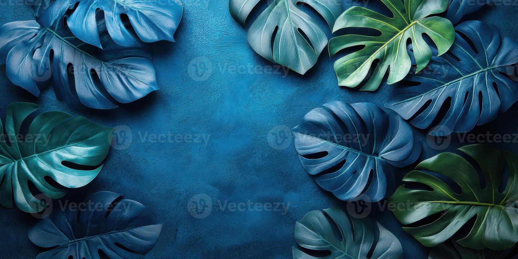 Monstera leaves arranged on a deep blue background in a vibrant, natural composition suitable for decor or design purposes photo
