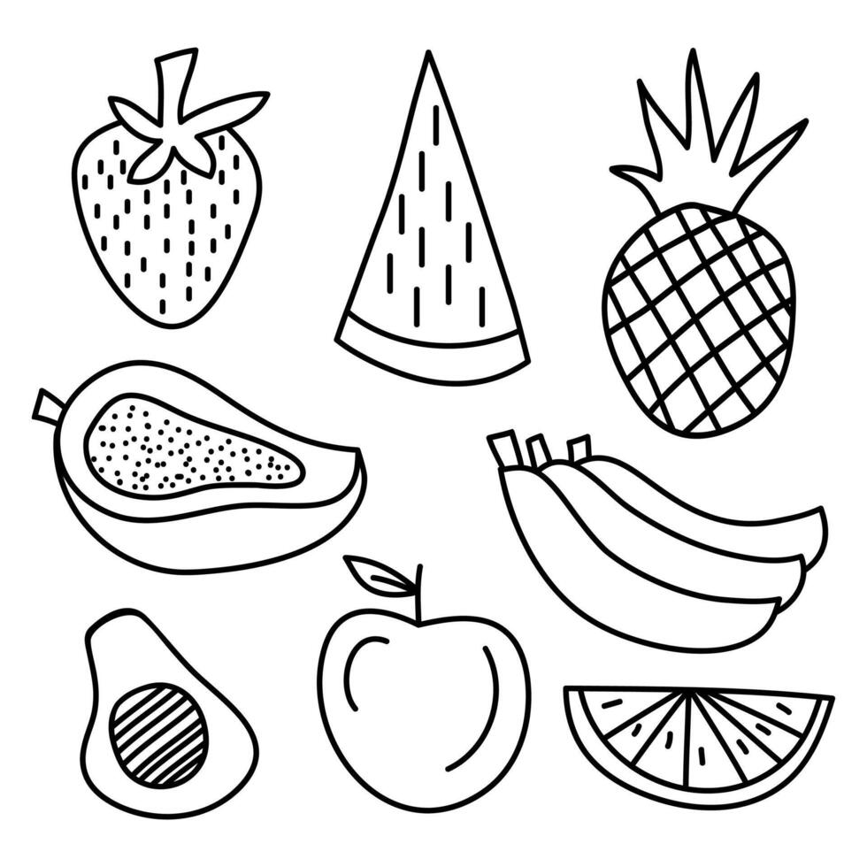 hand drawn fruit set. Set of doodle fruit vector