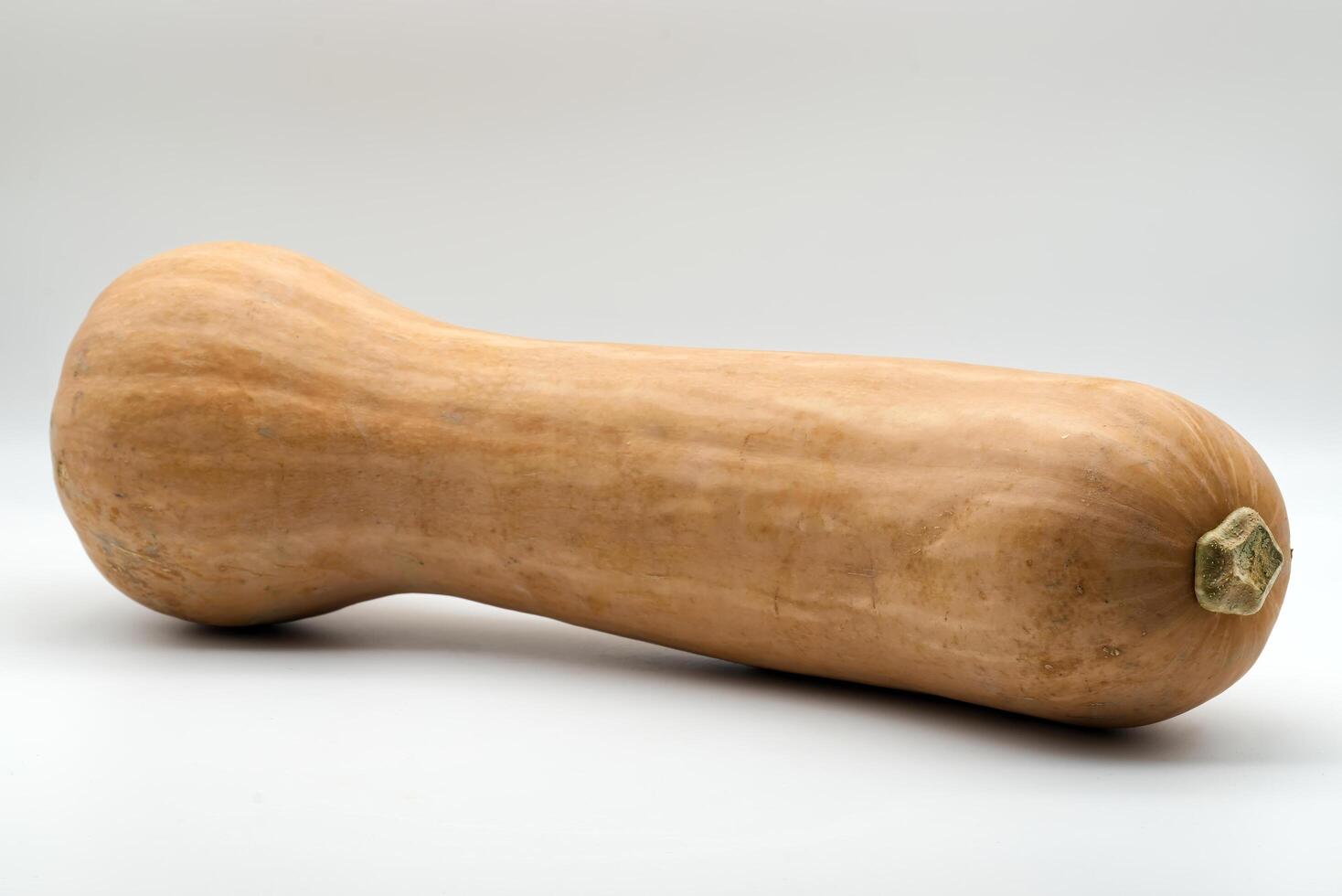 A whole, ripe butternut squash is featured against a plain white background. photo