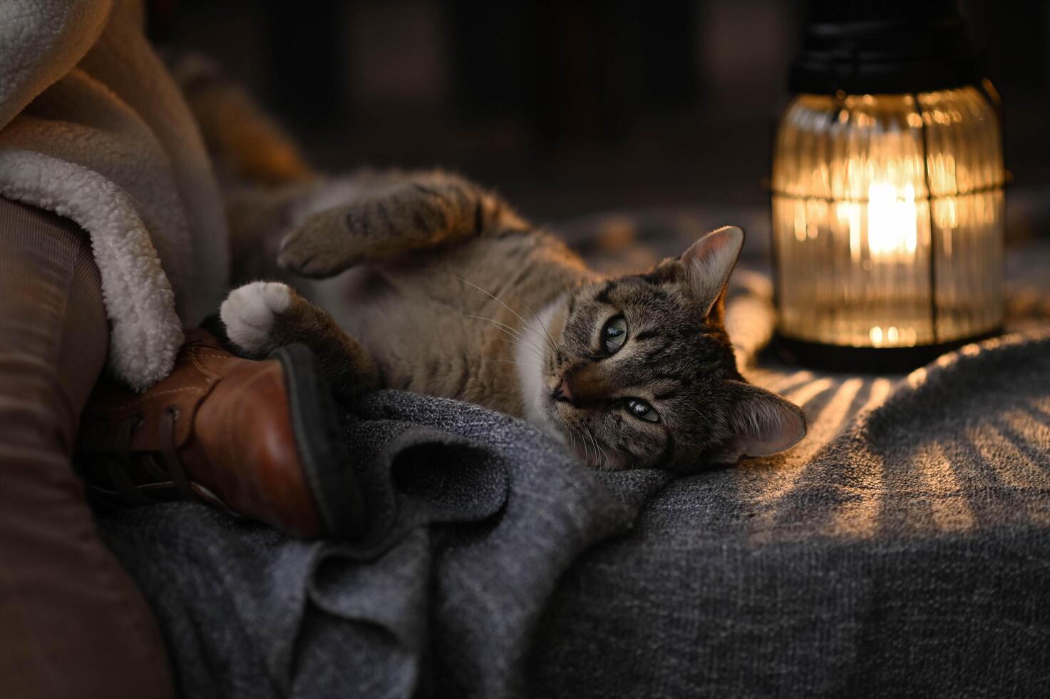 A cat lays by a girls foot, its fur glowing in the warm light of a nearby lantern. The soft flicker of the flame creates a cozy, magical atmosphere, capturing a quiet moment photo