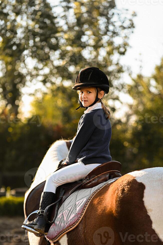 Generated ImageThe fading sun paints the horizon as a girl bonds with her beautifully spotted horse. photo
