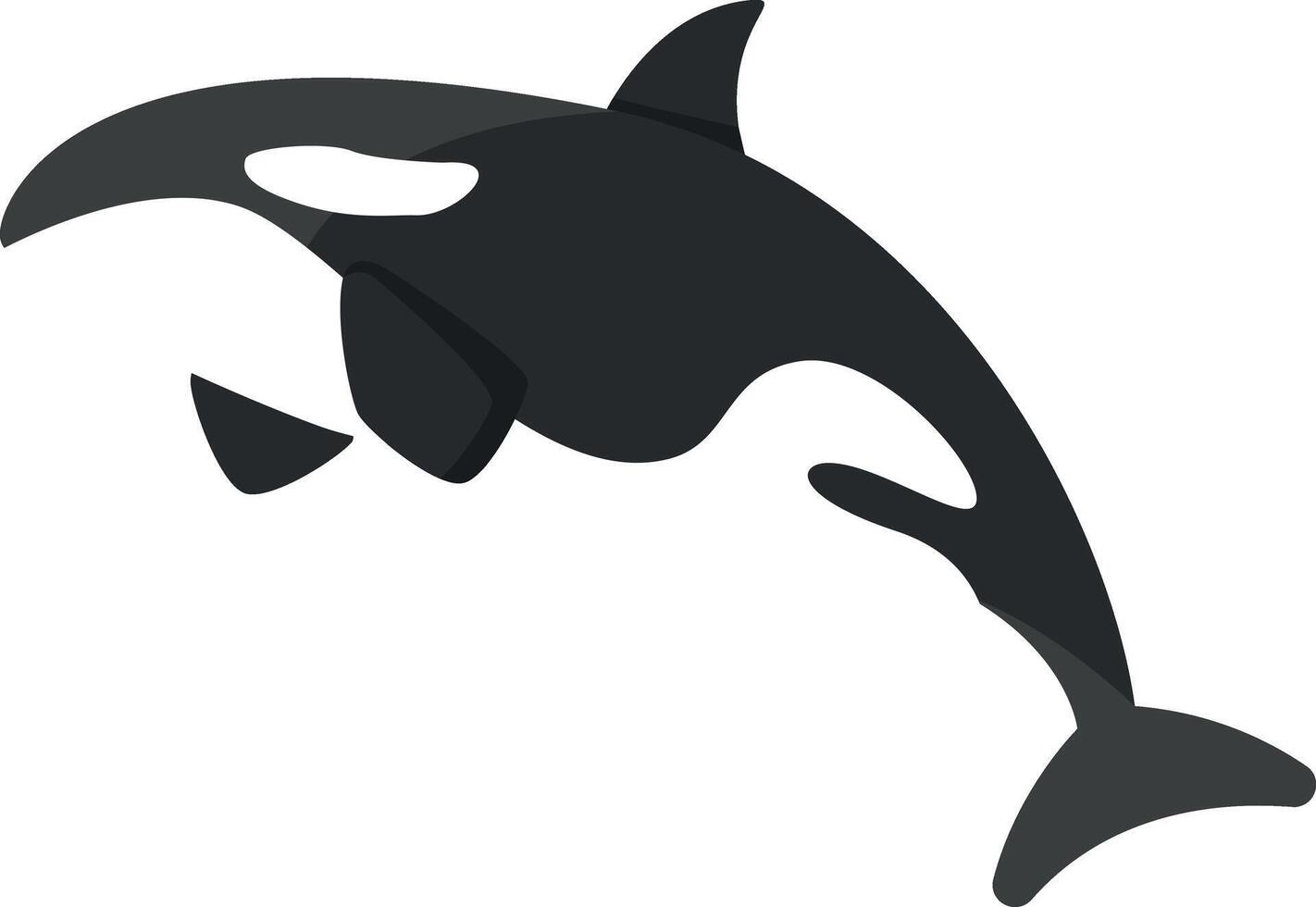 Orca killer whale illustration flat design style vector