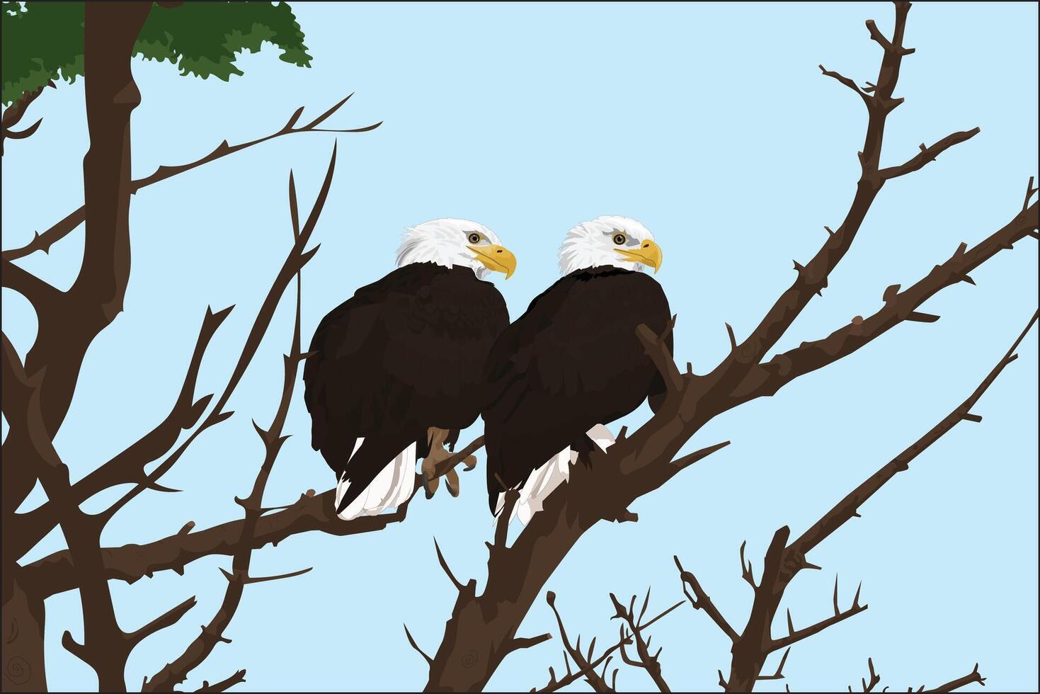 Bald Eagle Sitting On Tree Branch Wall Mural Interior vector
