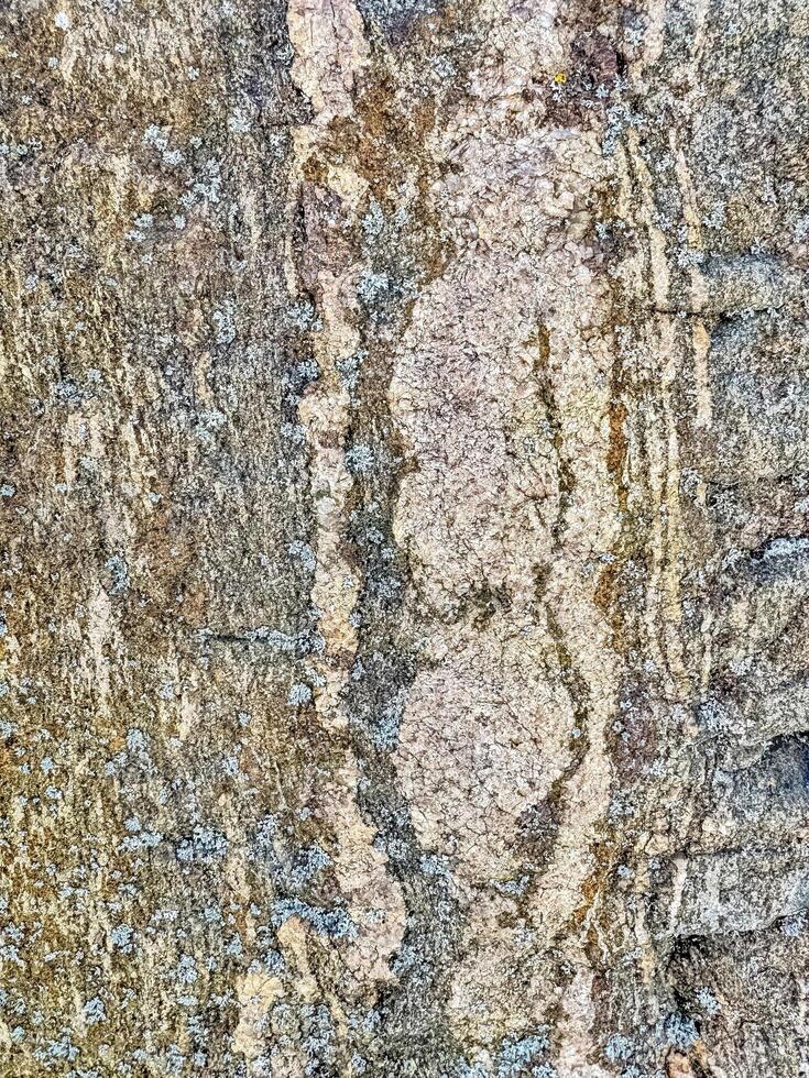 Stone texture with natural patterns and lichen growth . High quality photo