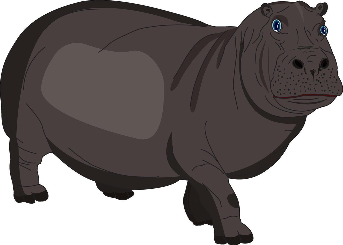Realistic Hippopotamus Animal Illustration vector