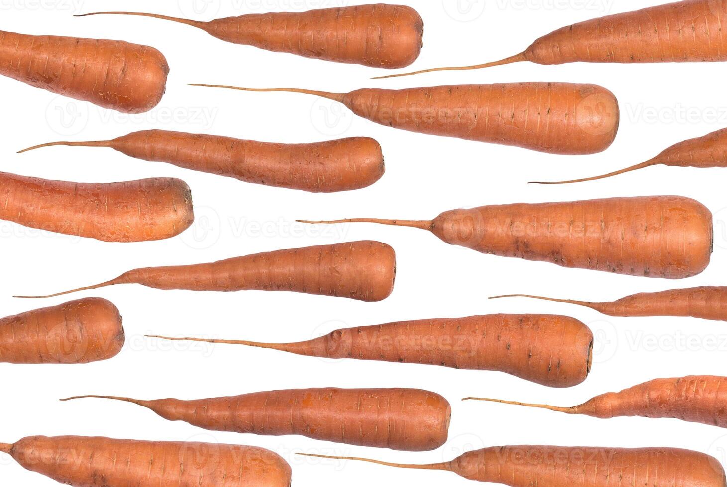 A lot of whole carrots on a white background photo