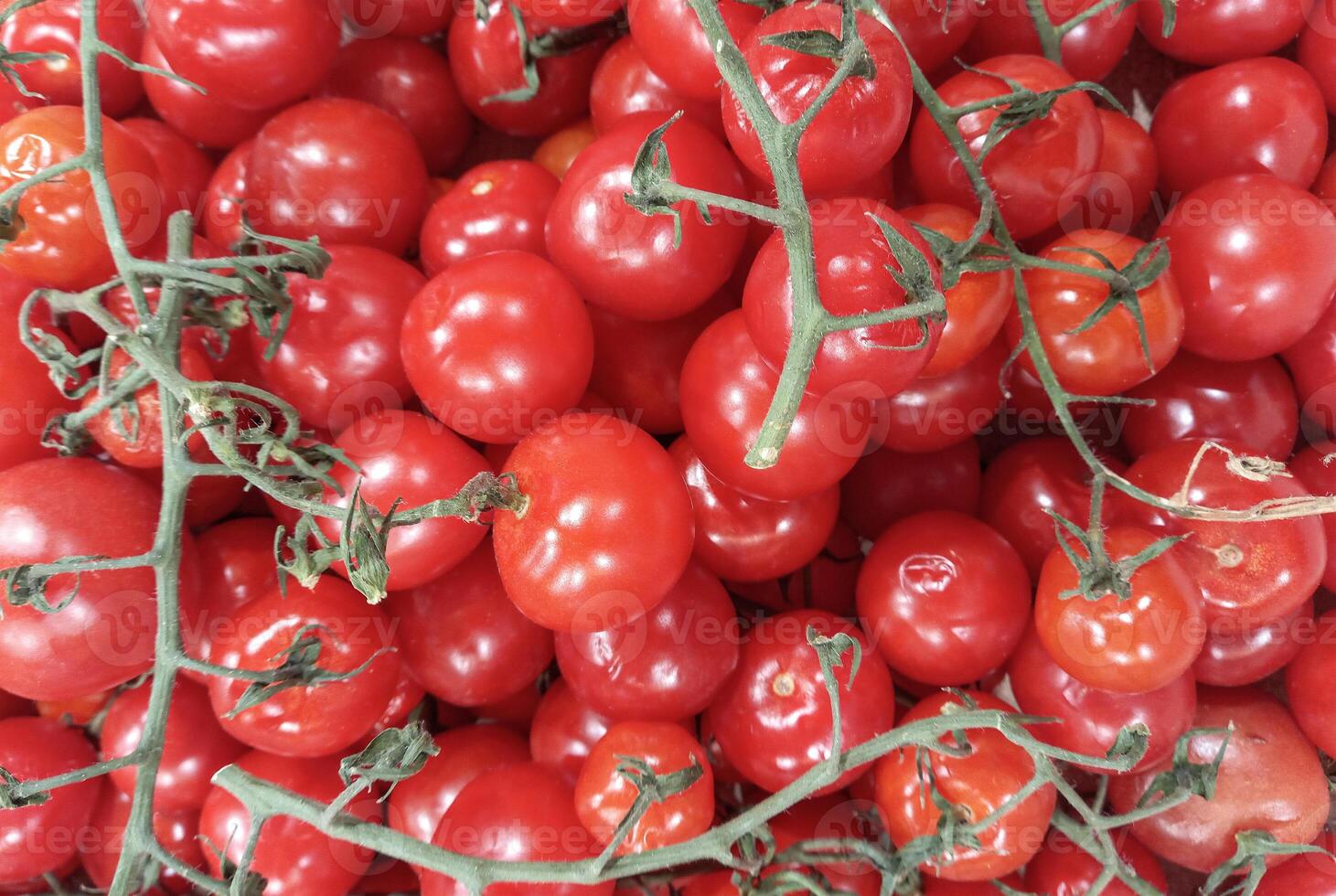 Cherry tomatoes on branch as a background photo