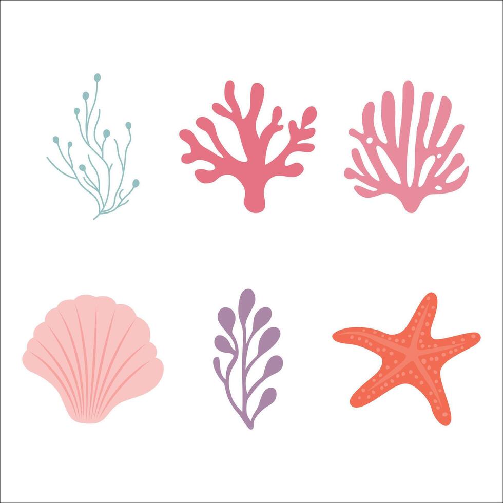 Sea Ocean Marine Life Elements Set of Scallop Shell Starfish Seaweed Coral Reef vector