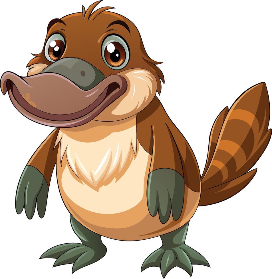 Cute Platypus Illustration Available on EPS File vector