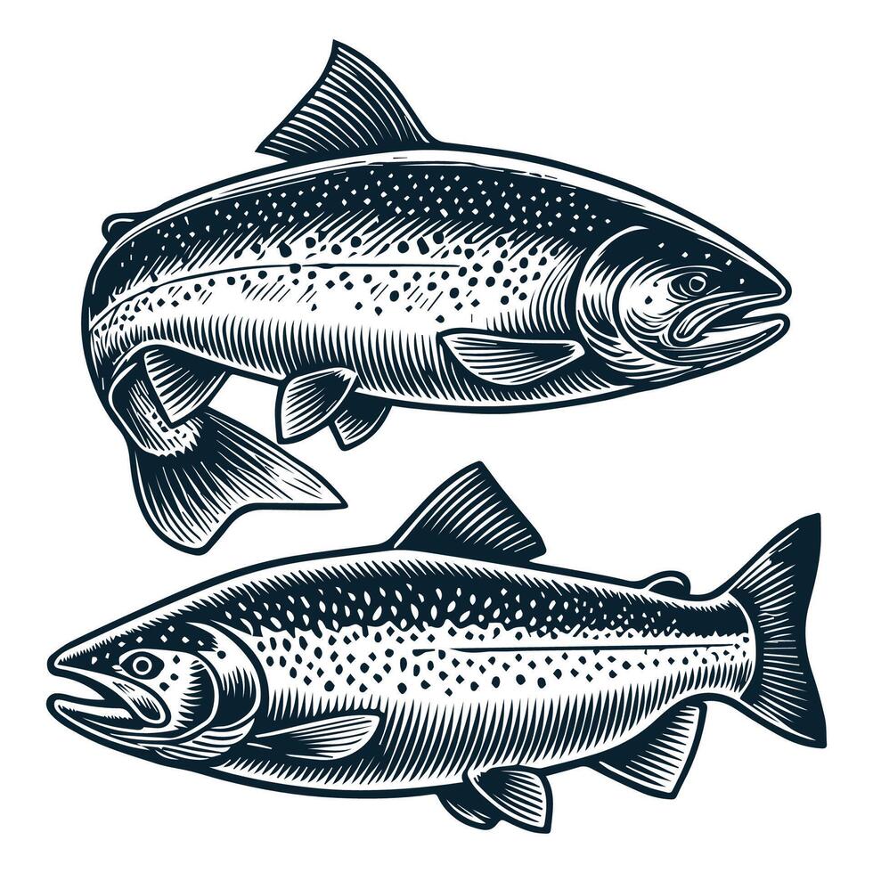 2 Salmon Fish Design vector