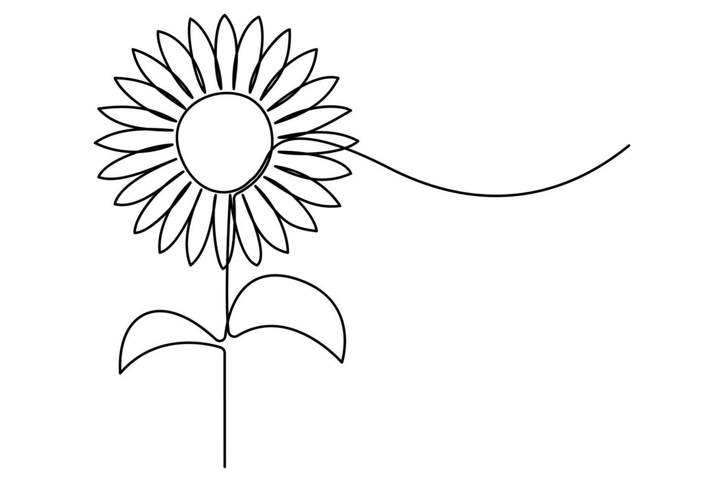 Sunflower one line drawing vector