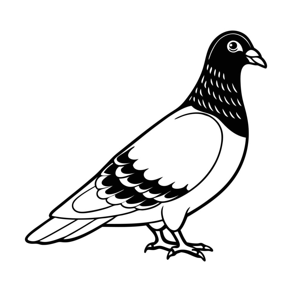a black and white drawing of a pigeon. vector