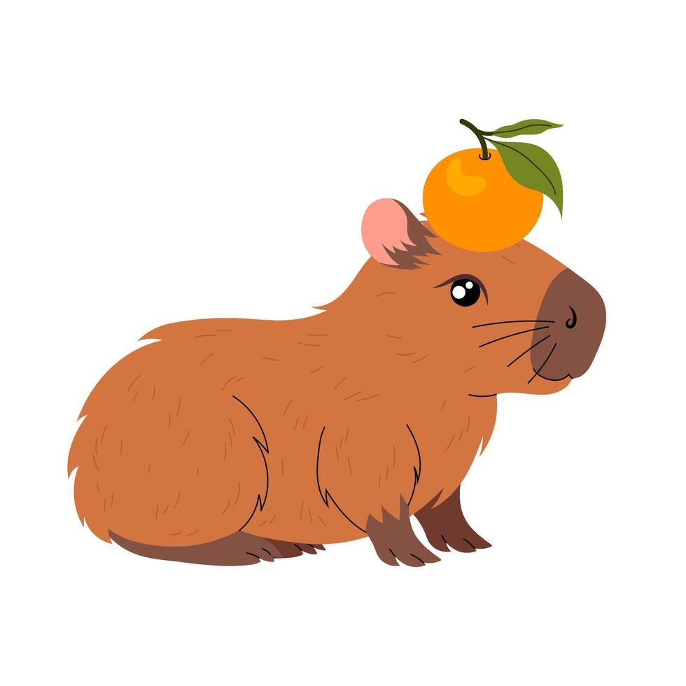 Funny capybara with ripe tangerine on head. Kawaii herbivorous rodent. Hand drawn illustration on a white background. vector