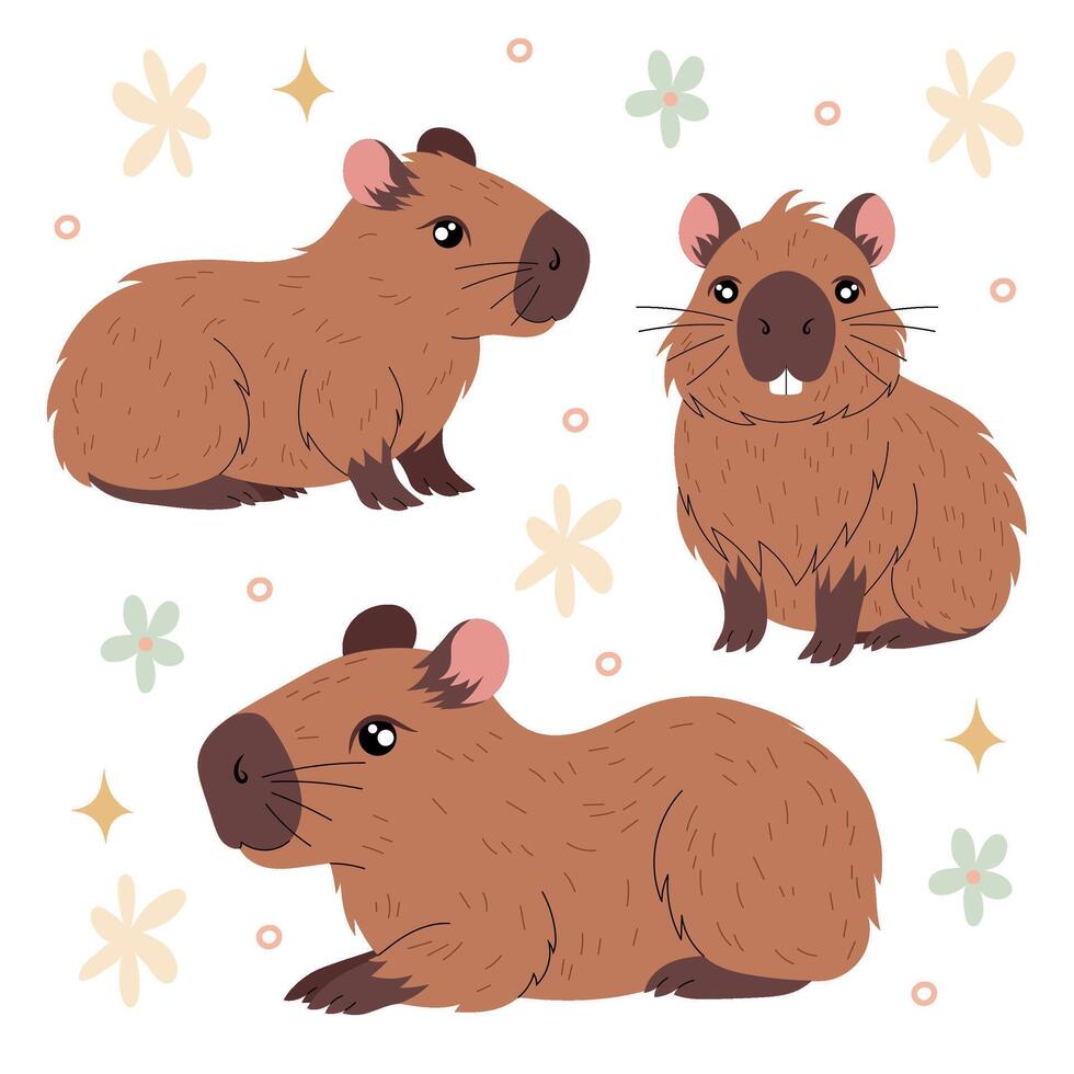Set illustrations funny capybaras with decorative elements. Cute capybara. Kawaii hand drawn capibara for sticker, postcard, tshirt, print design vector