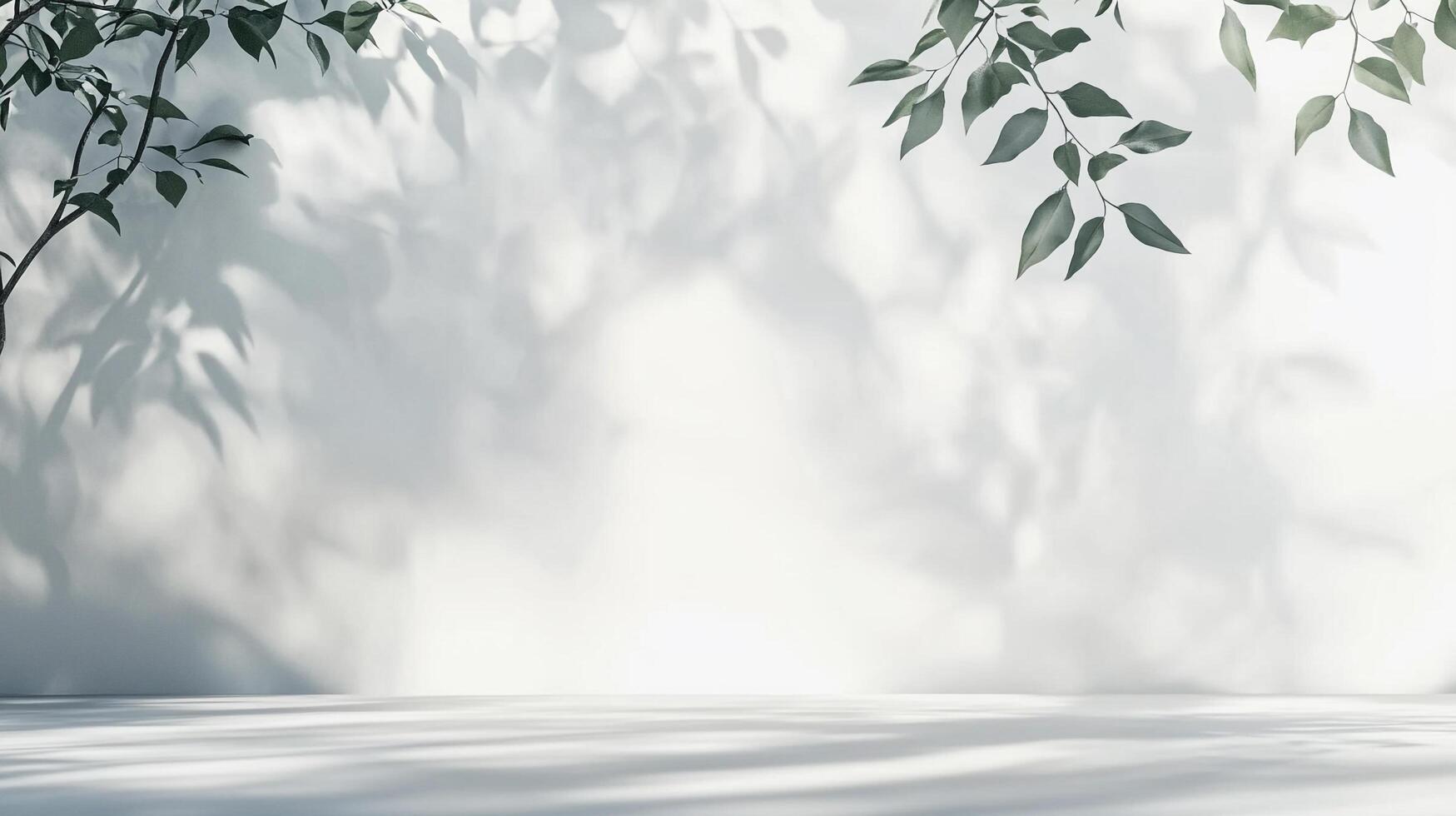 Elegant natural setting with delicate branches and shadows creates a serene atmosphere with soft light and a bright backdrop. photo