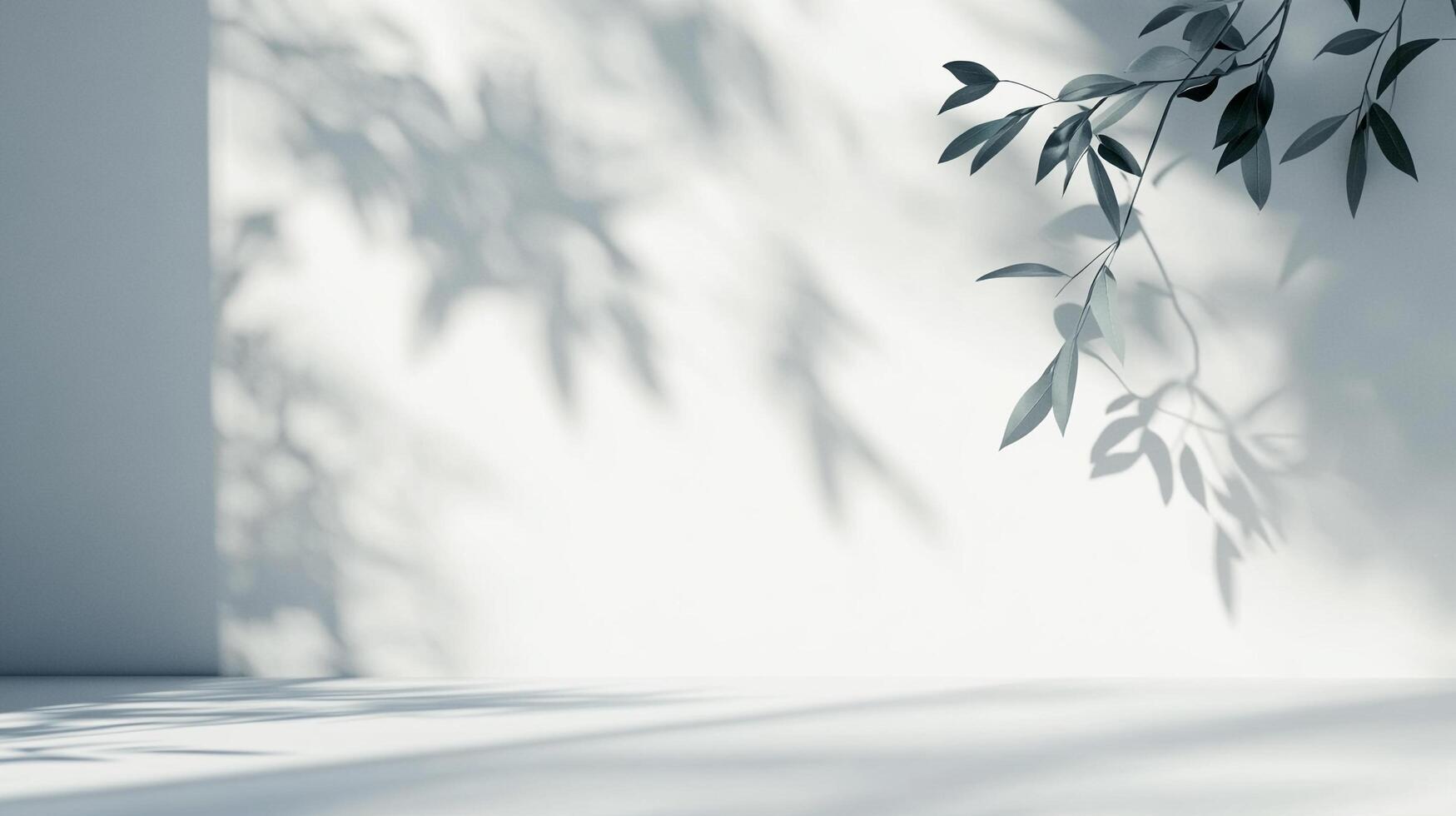 Minimalist scene with leaf shadows creating a calming effect on the white background. The light and shadow play offers a serene aesthetic. photo