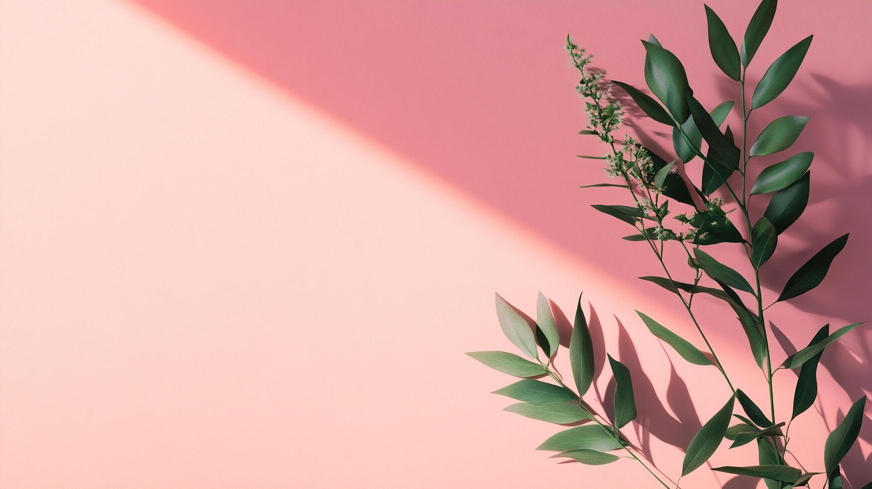 Elegant green sprigs cast long shadows on a serene pink surface, creating a minimalist, nature-inspired composition. Simple and striking. photo