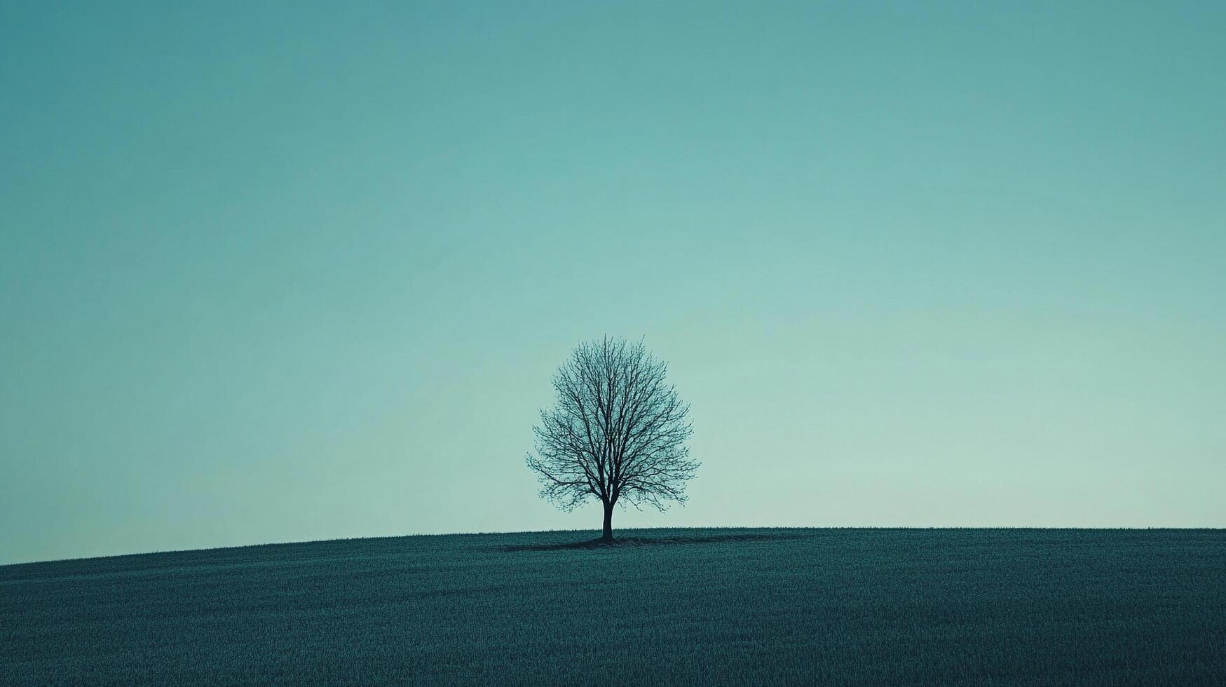 A solitary tree stands silhouetted against a serene sky, its bare branches reaching upwards in a minimalist landscape, evoking tranquility. photo