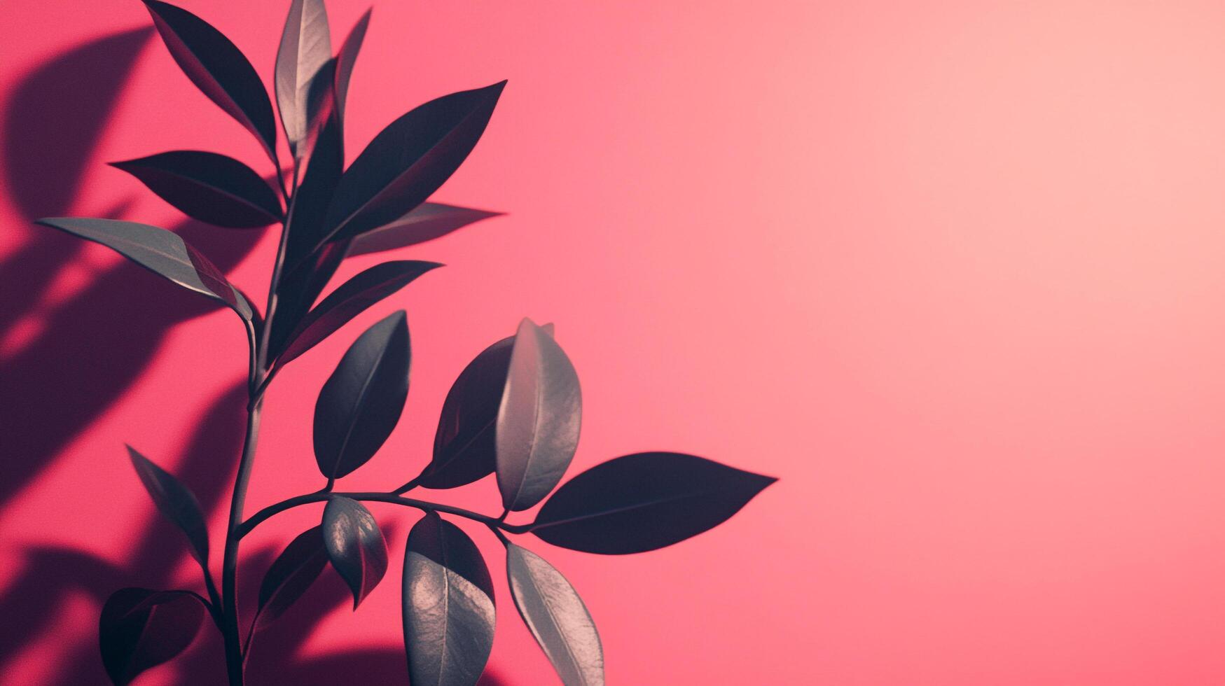 Moody foliage against a rich rosy backdrop. The contrast between the dark leaves and bright hue creates a striking, elegant still life. photo