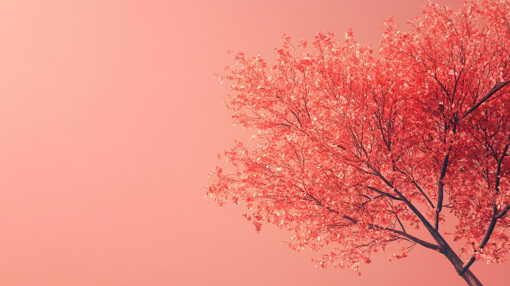 A pink hued landscape. The tree with coral leaves dominates the right side against a soft background. Abstract, delicate and ethereal. photo
