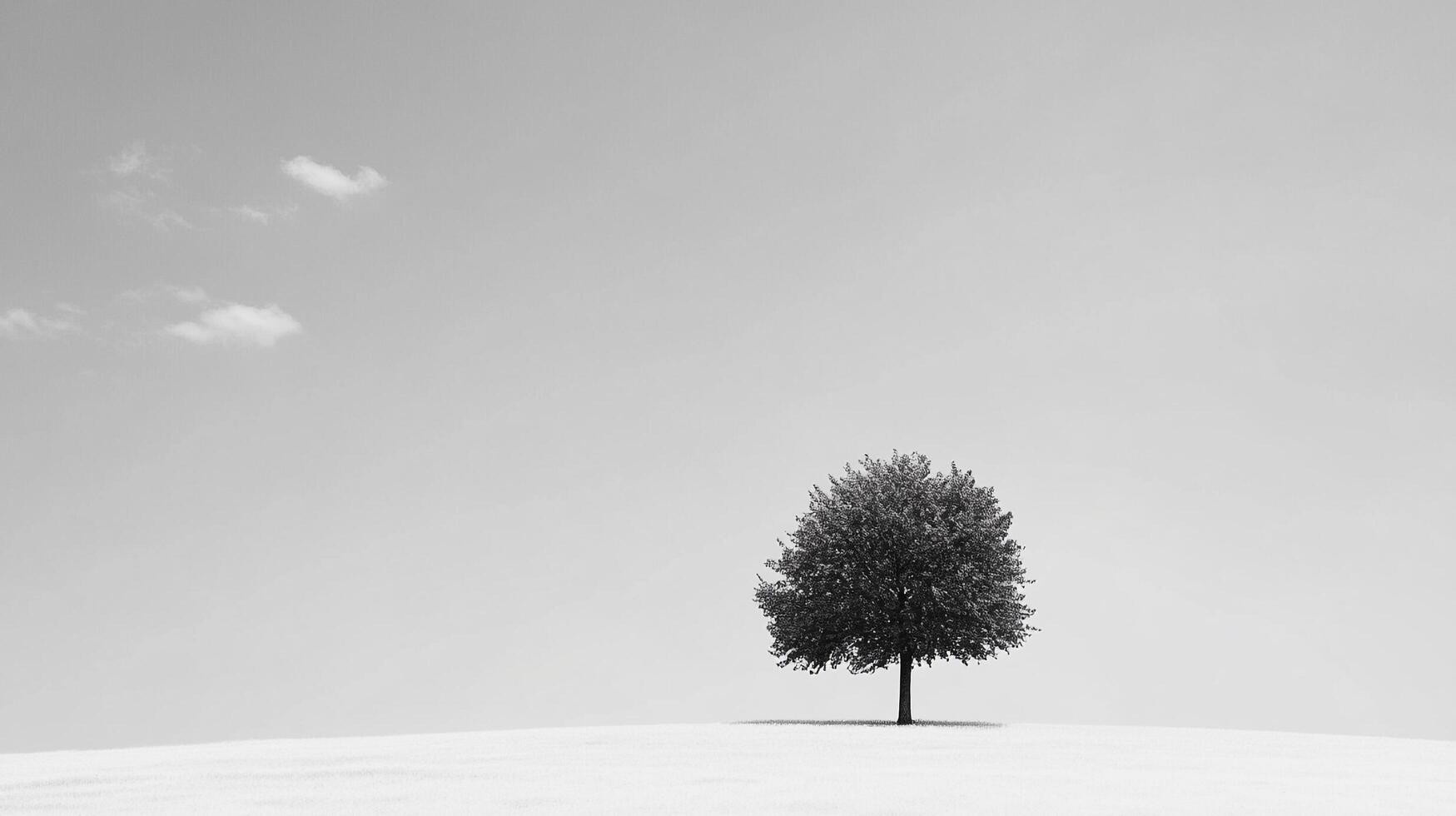 Solitary tree standing on a stark field against a clear sky in a monochrome scene, evoking minimalism and natural beauty. photo