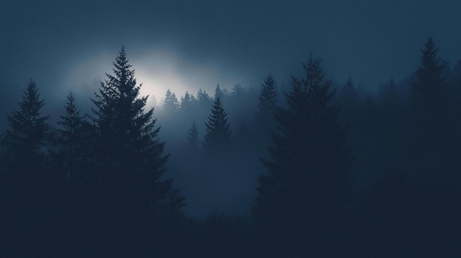 Eerie trees punctuate a foggy and dark landscape. Silhouettes emerge from a dense forest setting. The scene evokes a sense of mystery. photo