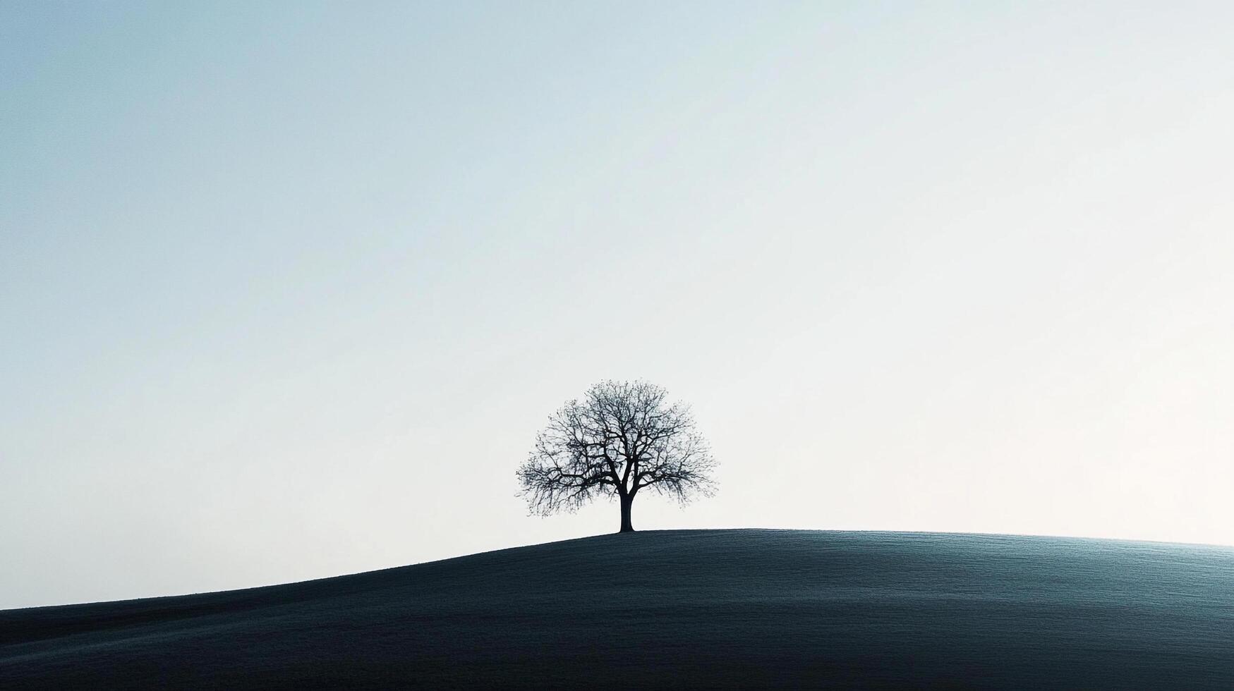 Solitary tree silhouetted against a soft sky, standing atop a hill. Quiet solitude in nature's simple beauty, a single tree at peace. photo