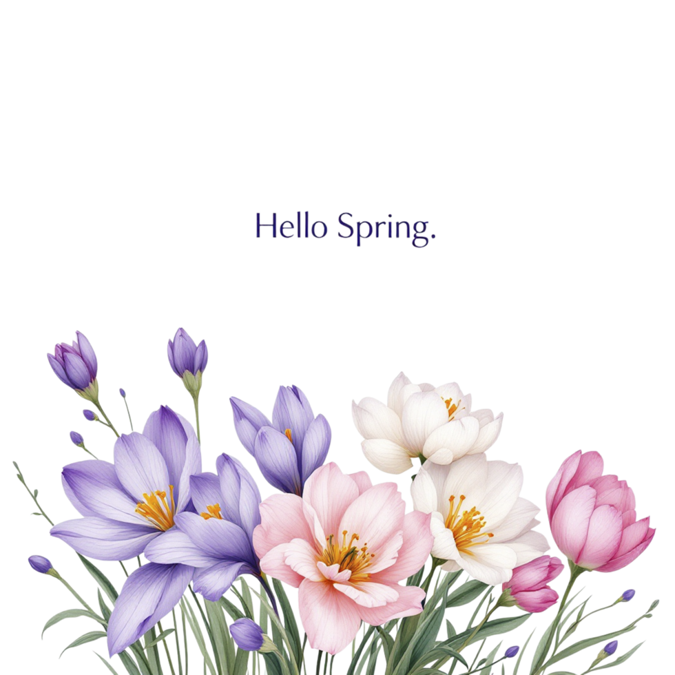 Hello spring flowers png