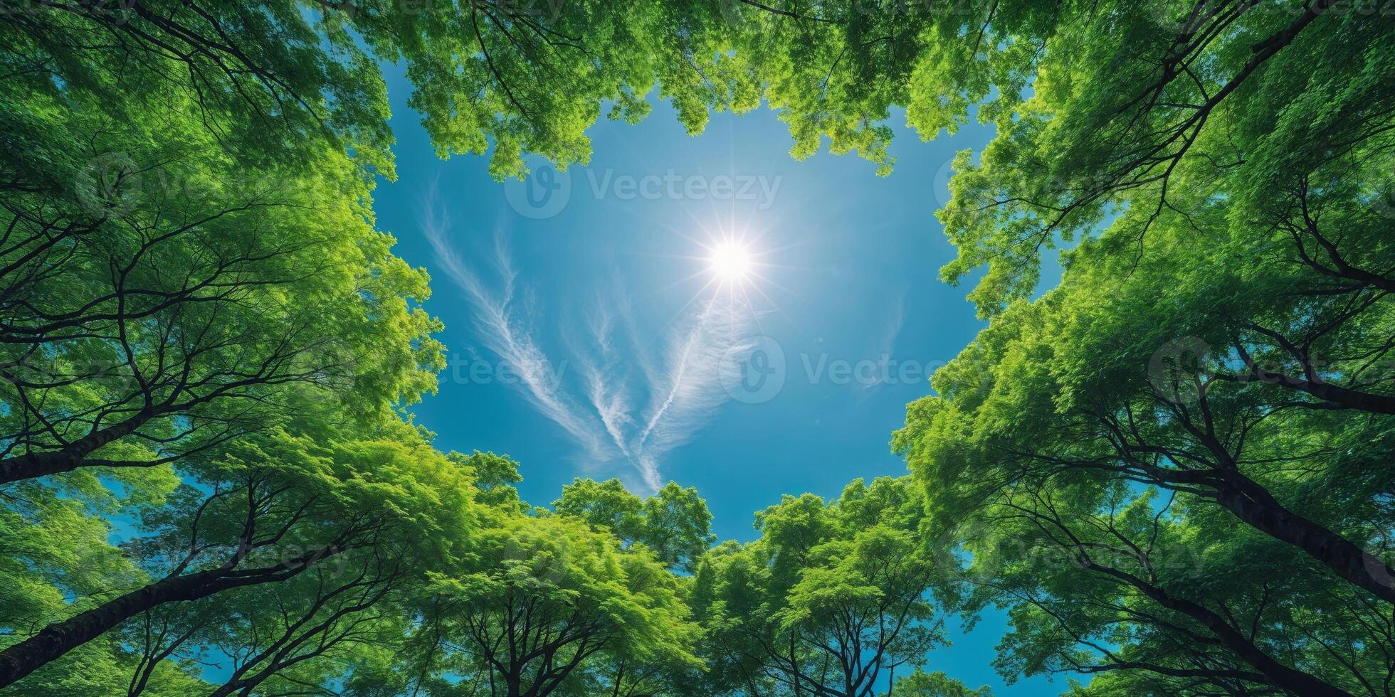 Lush Green Canopy of Trees Framing a Bright Sky photo
