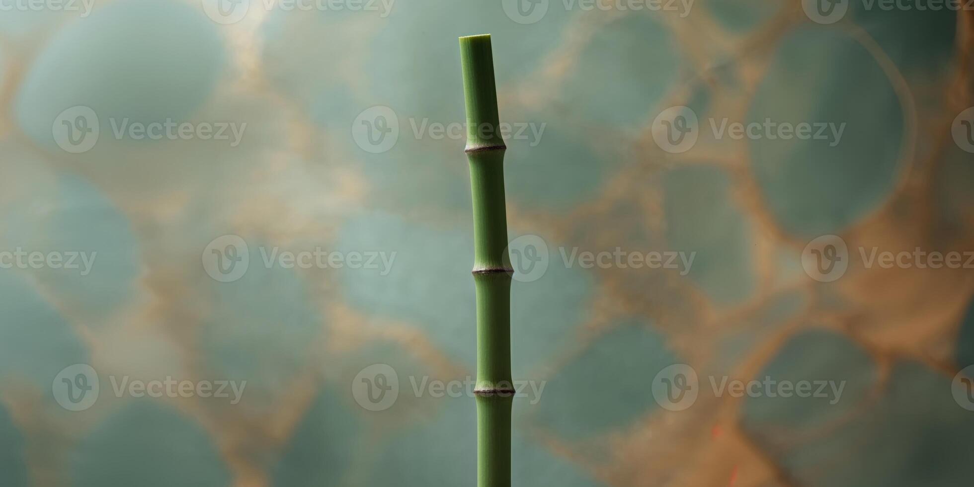 Bamboo was cut put a lot of overlap background texture. photo