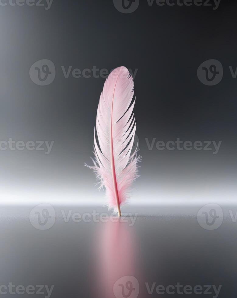 Pink feather is shown on a black background photo