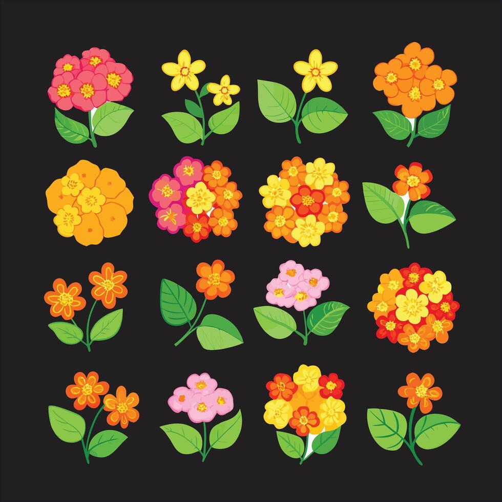 A set of flowers on a black background vector