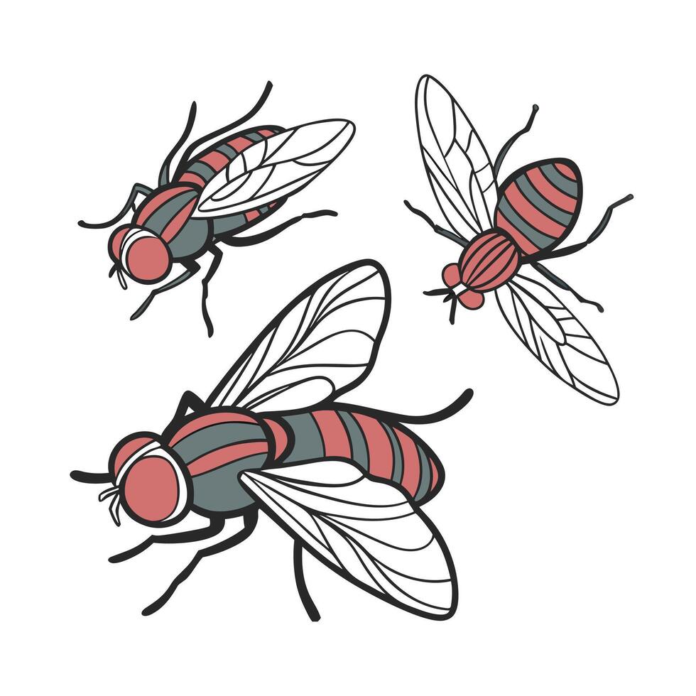 Three flies with red and black stripes on a white background vector