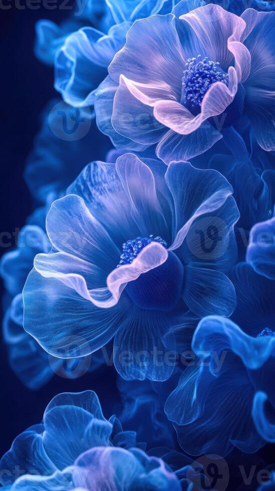 Vibrant blue flowers bloom with ethereal beauty in a soft, illuminated setting photo