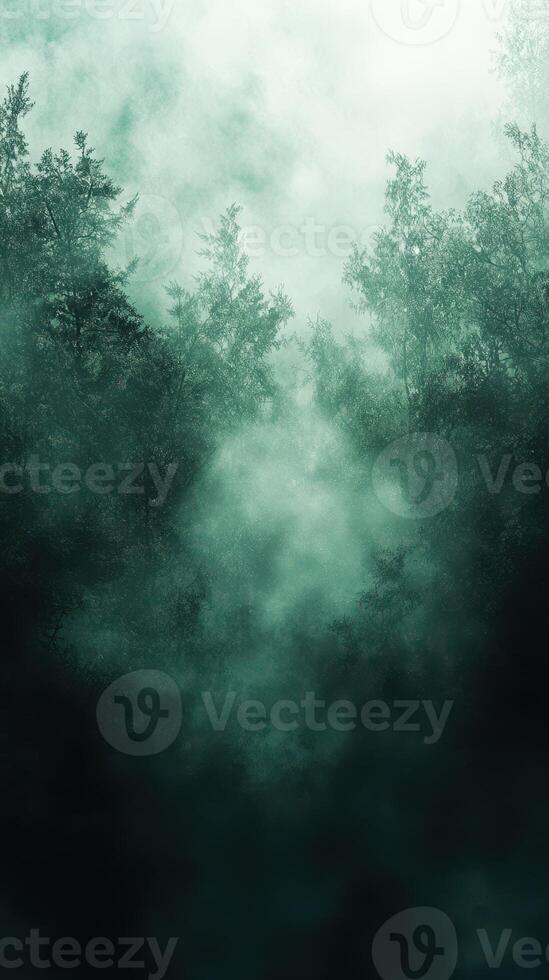 Misty forest landscape with dense fog revealing silhouettes of trees at dawn photo