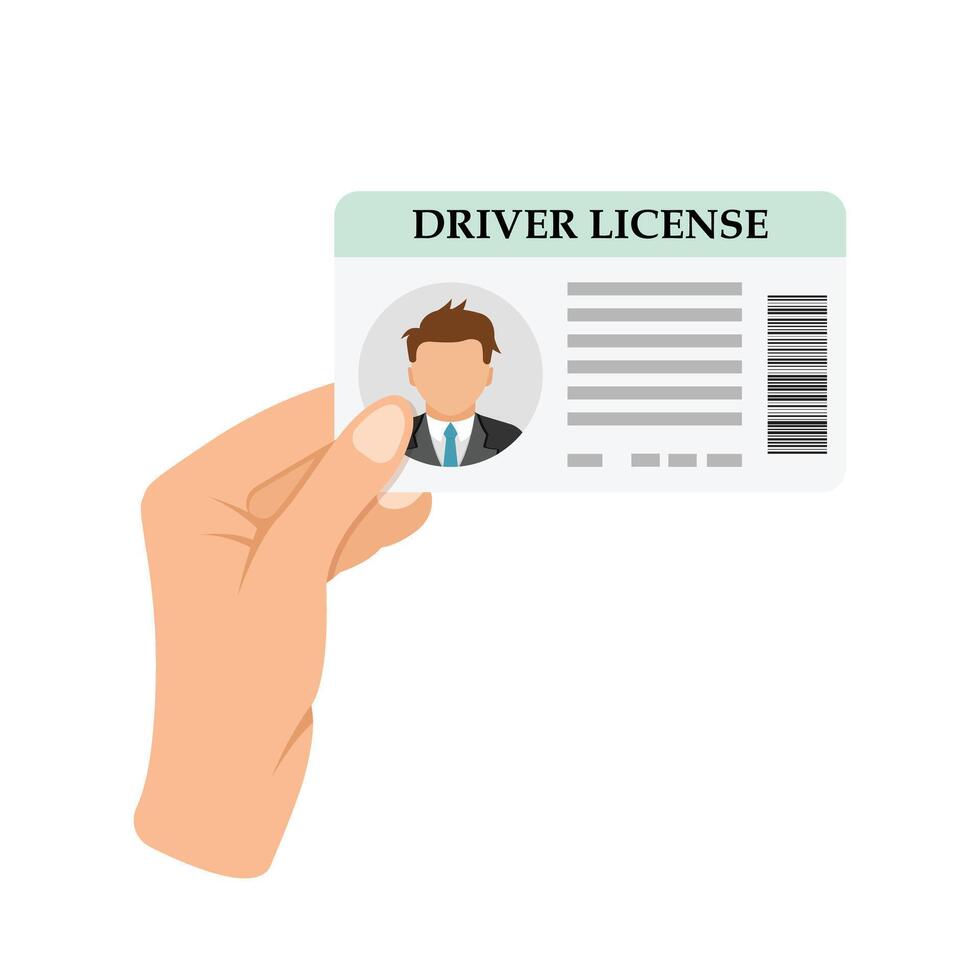 Driver license in hand illustration vector
