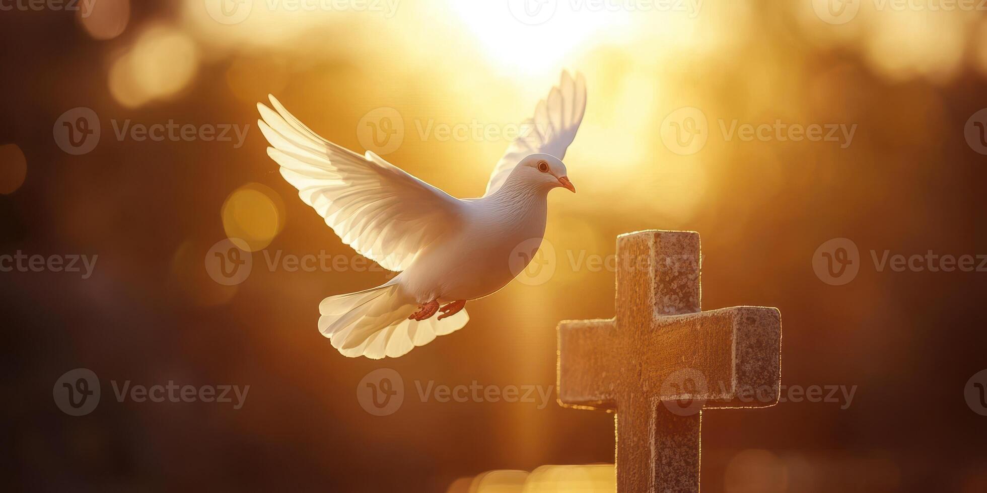 White dove in flight near a cross during golden hour, symbolizing peace and hope in a serene setting photo