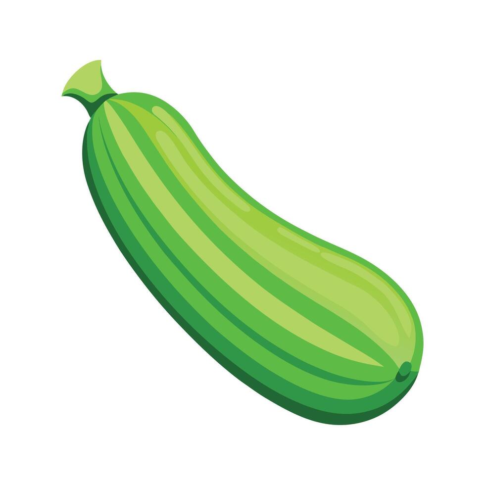 Long OvalShaped Zucchini Flat Icon vector