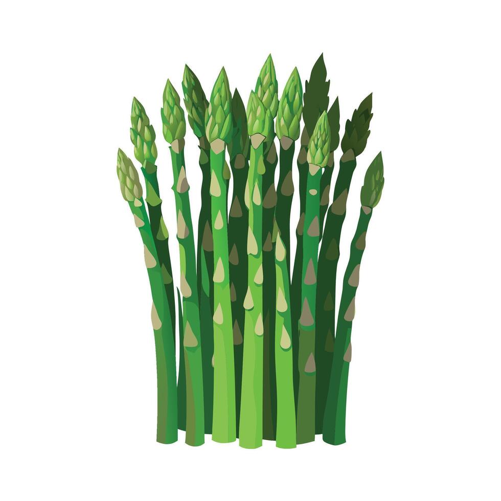 Flat Icon of Asparagus Spears with Tall Slim Form vector