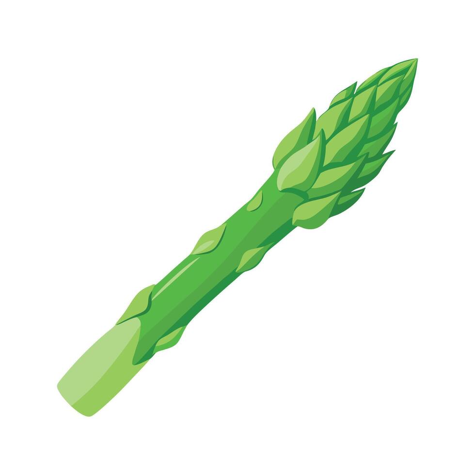 Flat Icon of Asparagus Spear with Tapered Tip vector