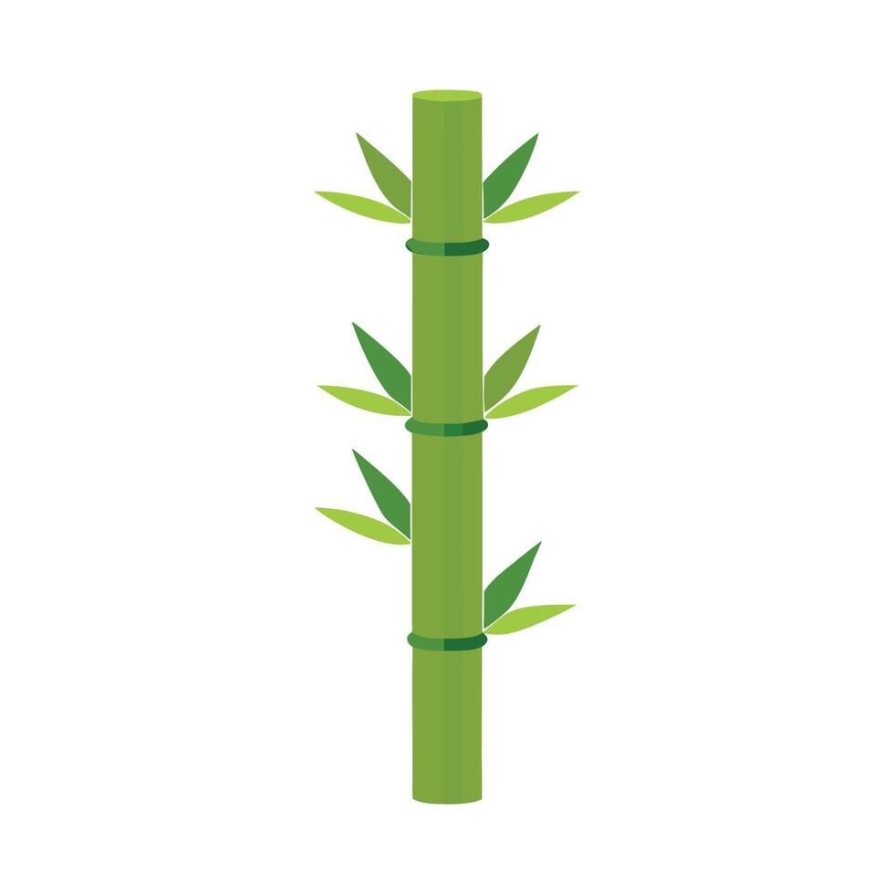 Bamboo Shoots with Tall Thin Stems Design vector