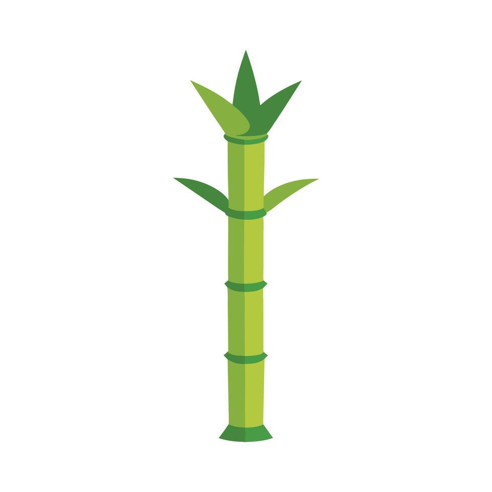 Stylish Bamboo Shoots with Tall Thin Stems vector