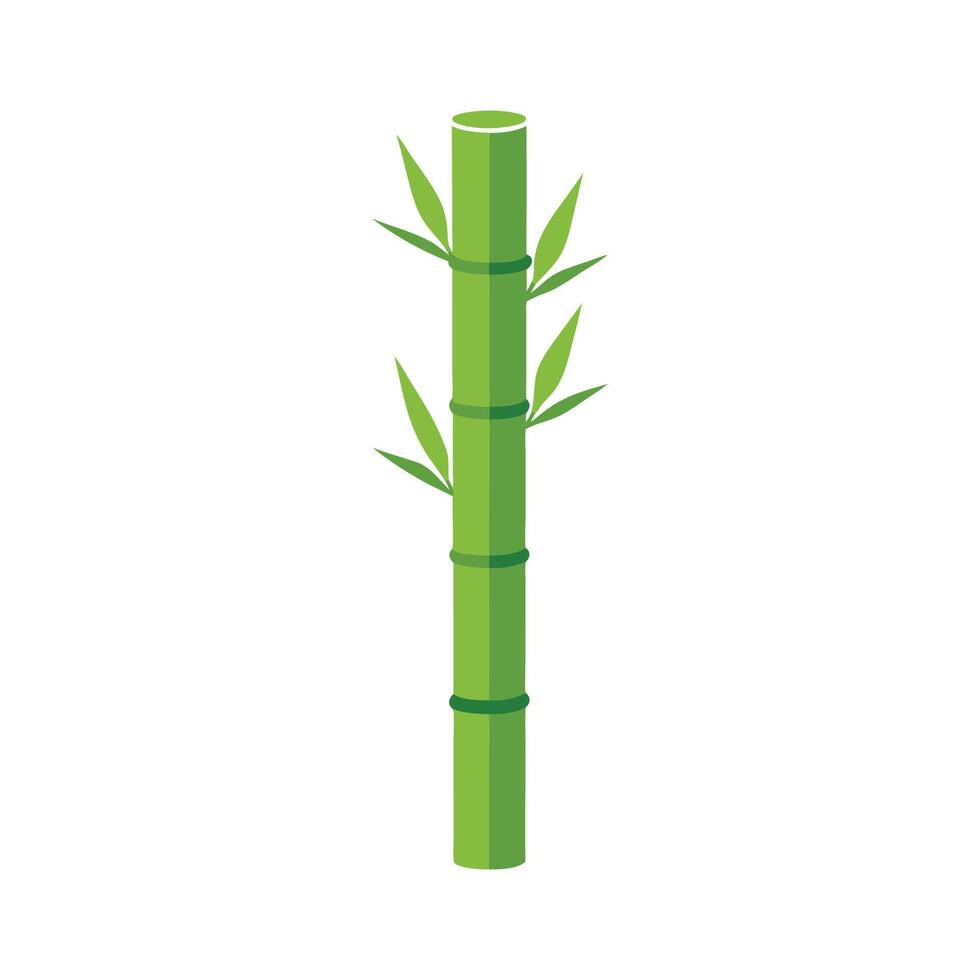 Elegant Bamboo Shoots with Tall Thin Stems vector