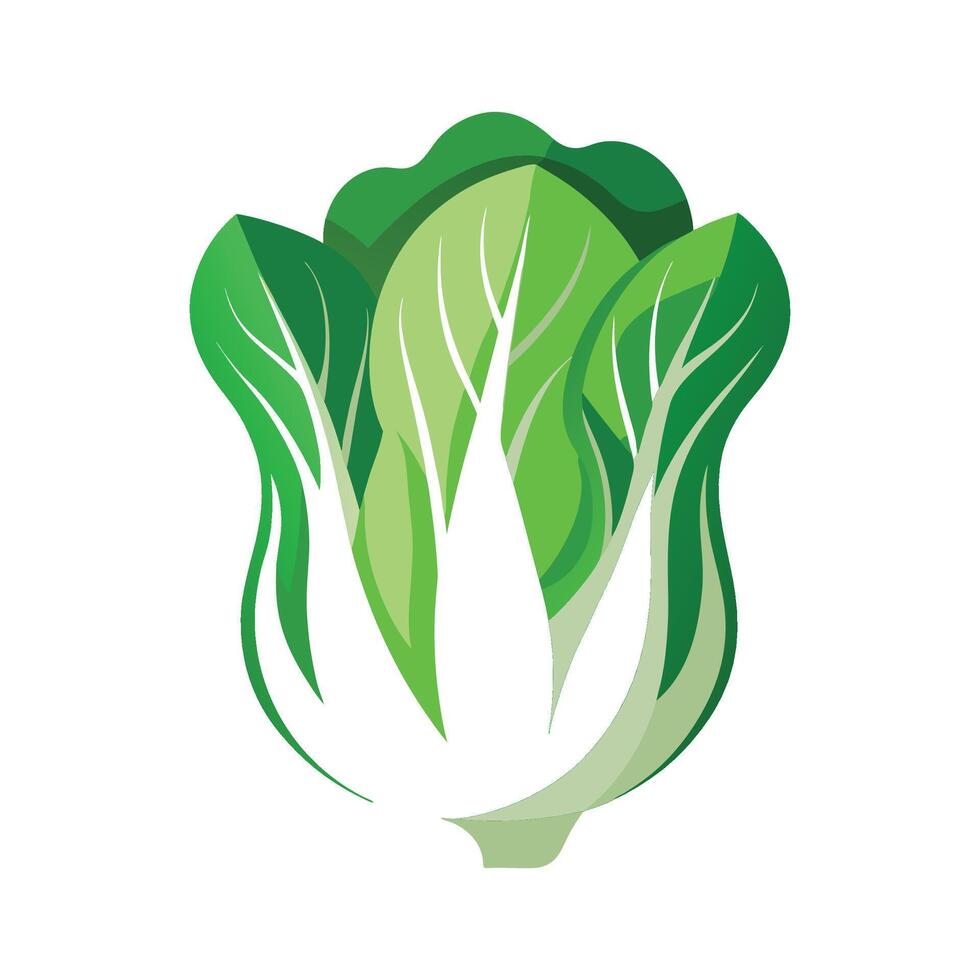 Bok Choy with Bright White Stalks Illustration vector