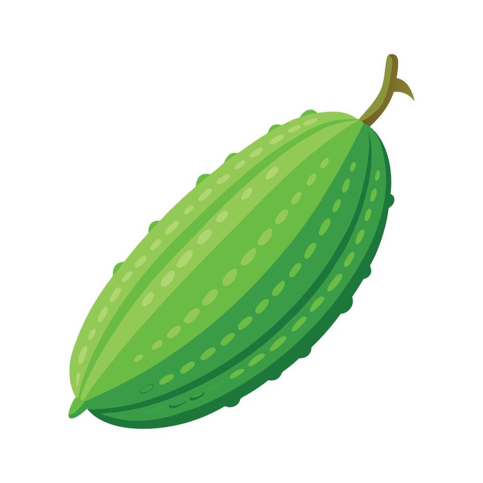 Elegant Bitter Melon with Bumpy Surface vector