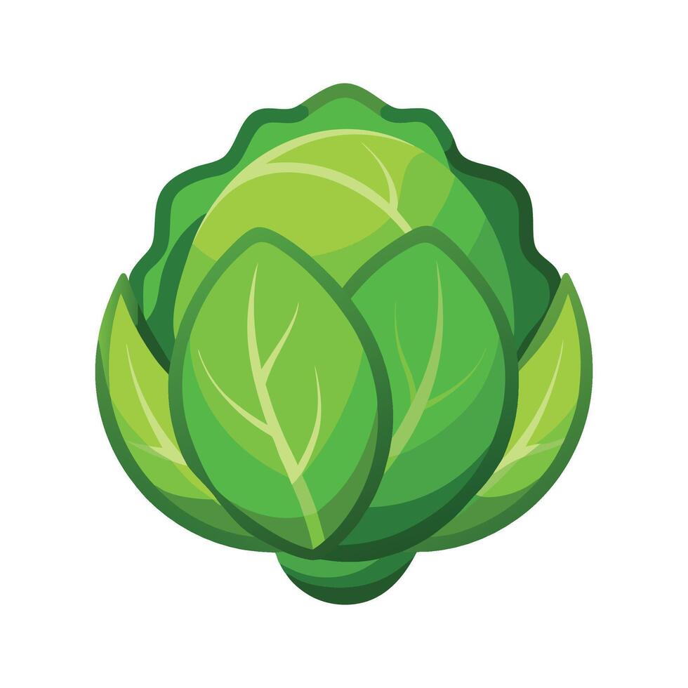 Stylish Brussels Sprout with Layered Leaves vector