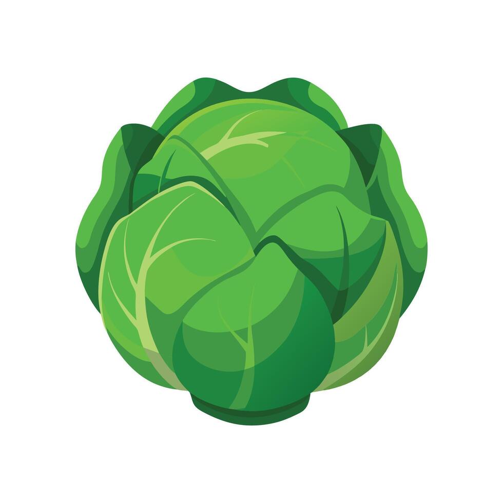 Flat Icon of Brussels Sprout with Compact Leaves vector