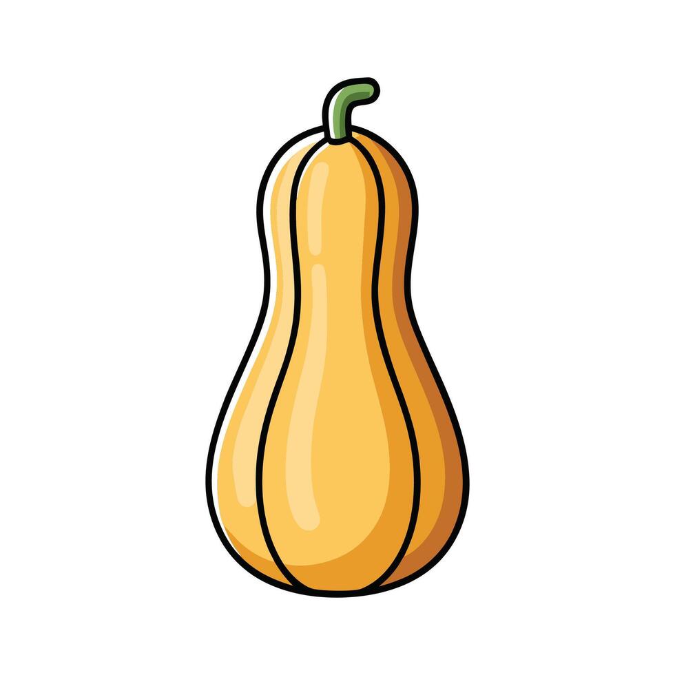 Butternut Squash with Curved Neck Illustration vector